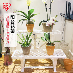 IRIS 爱丽思 多肉花架置物架阳台花架子落地式阶梯式室内爬藤支架爱丽丝