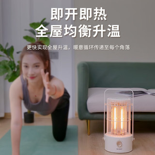 SHARP 夏普 取暖器/电暖器办公室桌面电暖风烤火炉暖脚器电热 鸟笼
