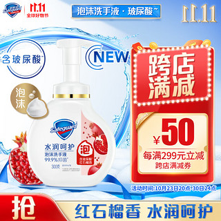 Safeguard 舒肤佳 抑菌泡沫洗手液 红石榴香 300g