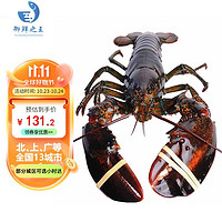 御鲜之王 鲜活波士顿龙虾500-550g/只 1只 波龙 生鲜大龙虾 活虾海鲜水产