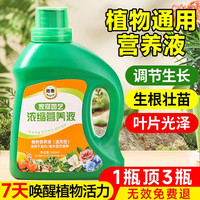 临雅 植物营养液通用型家用绿萝水培花卉绿植盆栽家庭园艺浓缩型花肥料 升级款营养液500ml