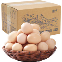 雀淘 双A级新鲜正宗无抗土鸡蛋45g*50枚