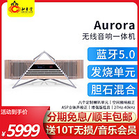 iFi悦尔法 Aurora 无线蓝牙音响一体机喇叭单元hifi发烧音箱