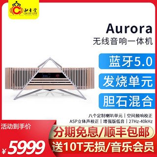 iFi悦尔法 Aurora 无线蓝牙音响一体机喇叭单元hifi发烧音箱