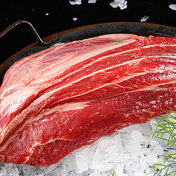 HITOMORROW 大希地 牛腱子1kg生鲜牛肉牛腿肉代餐烧烤火锅食材