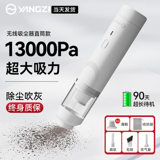 扬子车载吸尘器大功率车家两用无线小巧便携桌面除尘机大吸力随手吸 【销量NO.1】13kpa大吸力+滤芯*3