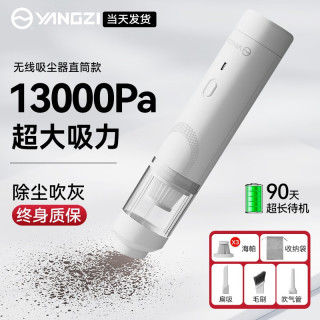 扬子车载吸尘器大功率车家两用无线小巧便携桌面除尘机大吸力随手吸 【销量NO.1】13kpa大吸力+滤芯*3