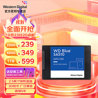 西部数据 WD）Blue蓝盘系列SA510 SSD固态硬盘4TB新品 sata3.0