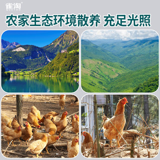 雀淘 双A级新鲜无抗土鸡蛋50枚