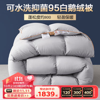 BEYOND 博洋 家纺95%白鹅绒被冬被抑菌羽绒被子冬季被芯 曛暖灰色220*240cm