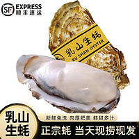 帆货 乳山生蚝鲜活特大牡蛎XXXL 10斤净重   3-4两大蚝