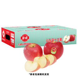Goodfarmer 佳农 红富士苹果 12个 单果重180-240g