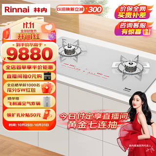 Rinnai 林内 御厨系列 RB-2QLGV(S) 燃气灶 天然气 银色