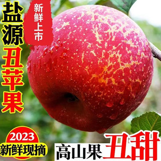 YOULING 柚琳 四川大凉山盐源丑苹果新鲜红富士苹果脆甜应季水果 优先丑苹果 带箱9.5斤净重8.5斤（19-24装）