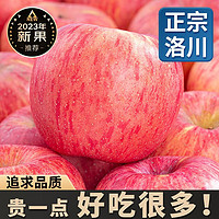 沙窝曙光 陕西洛川红富士苹果 爆卖9.5斤中果（净重8.5斤）