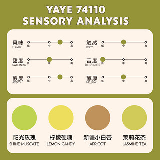 乔治队长埃塞俄比亚咖啡豆74110/74112丛林雅野套装组合100g*2罐