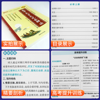 2024高中文言文完全解读必修+选择性必修