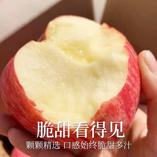 luochuanapple 洛川苹果 陕西时令苹果 15枚大果