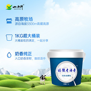 88VIP：XIAOXINIU 小西牛 大桶装老酸奶益生菌发酵4.0g蛋白质原味老酸奶1kg*1桶