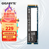 GIGABYTE 技嘉 SSD固态硬盘 M.2接口 NVMe协议 高速台式机电脑笔记本固态硬盘 大容量固态盘 猛盘E
