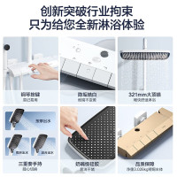 箭牌淋浴花洒套装 独立分水钢琴按键款 手持增压喷枪花洒喷头花洒全套 钢琴款雅白冷热花洒AE34129ZWP
