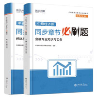 环球网校中级经济师教材配套章节必刷题习题集真题经济基础知识金融专业知识与实务共2册