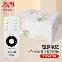 彩阳电热毯单人双控电褥子长1.8宽1.2蓝牙自动断电宿舍除湿除螨