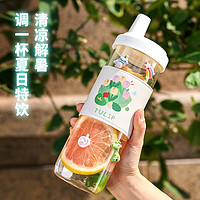 TiaNXI 天喜 网红爆款玻璃水杯便携杯子家用水杯吸管杯大容量网红水杯