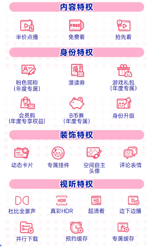 bilibili 哔哩哔哩 大会员12个月