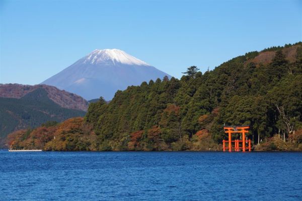 东京出发1.5h!一泊二食还有温泉!日本森之风酒店 箱根仙石原 标准日式双床房1晚含早晚餐