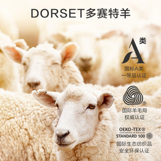 京东京造 净暖羊毛被 100%澳洲多赛特羊毛被子秋冬加厚被芯(7.0斤) 2.0*2.3