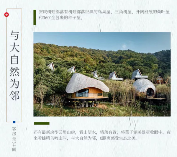 网红森里树屋,住进真正自然秘境!树蛙部落新余/铜仁/泸州/安庆/婺源/西宁/余姚7店通兑1-2晚套餐(含特色早餐+自然体验活动等)