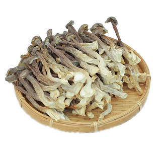 鹿茸菇干货特产级500g云南营养菌菇类干蘑菇鹿茸菌山珍煲汤非香菇