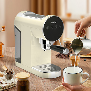 Tenfly 添美家 意式浓缩咖啡机家用小型20bar半自动萃取不锈钢蒸汽打奶泡