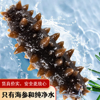 宫壹 大连即食海参 500g家装 15-25只