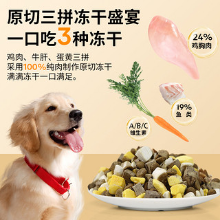 顶制鲜粮 Dzfood狗粮大型犬金毛拉布拉萨摩德牧哈士奇边牧阿拉斯加通用型40斤