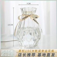 李宪忠 芍药大王(King of herbaceous peony)园艺喷壶厂家基地直发 多肉植物喷雾喷壶浇花 15cm玻璃花瓶【颜色款式】
