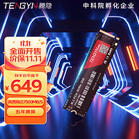 腾隐（TENGYIN）精选长江存储晶圆台式机笔记本SSD固态硬盘PCIe4.0 NVMe TP4100PRO 1TB 7500MB/S