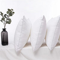 南方生活 枕芯 一只纤维枕单人枕头单只装一对拍2 30*50cm白色枕芯 单只装