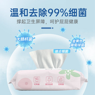 惠寻京东自有品牌湿厕纸80片*1包（80片)温和杀菌清洁湿纸180*133mm y