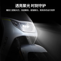 TAILG 台铃 a6电动车72v石墨烯长续航踏板电瓶车成人高速外卖电动摩托车