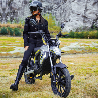 新国标电动助力车电瓶自行车锂电池跨骑魔兽摩托车成人电车