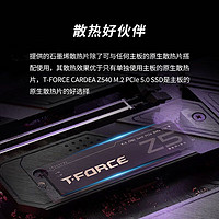 Team 十铨 Z540 SSD固态硬盘M.2接口PCIe 5.0 NVMe2.0协议电竞型 Z540 1TB