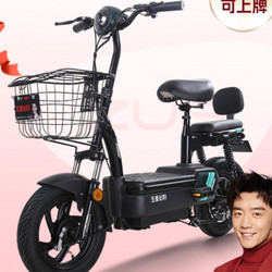 ZUB 五星鉆豹 電動車48V20A長續航新國標電動自行車小型式電瓶車A4plus