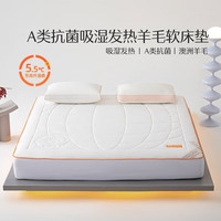 MERCURY 水星家纺 澳洲羊毛褥子A类抗菌防螨吸湿发热软床垫 90×195cm热力暖