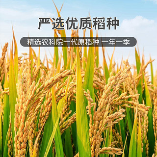 寒地香稻米10kg当季新米珍珠米20斤粳米稻花软香米含胚芽