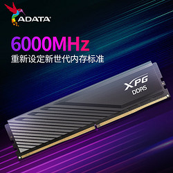 ADATA 威刚 XPG系列 威龙D300 DDR5 6000MHz 台式机内存 马甲条 黑色 64GB 32GBx2 C30