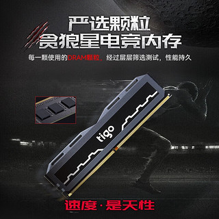 16GB DDR4 3200 台式机内存条 贪狼星系列