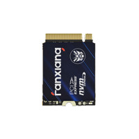 FANXIANG 梵想 S530Q NVMe M.2 固态硬盘 500GB（PCI-E3.0）