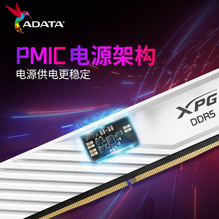 ADATA 威刚 XPG系列 威龙D300 DDR5 6000MHz 台式机内存 马甲条 白色 64GB 32GBx2 C30